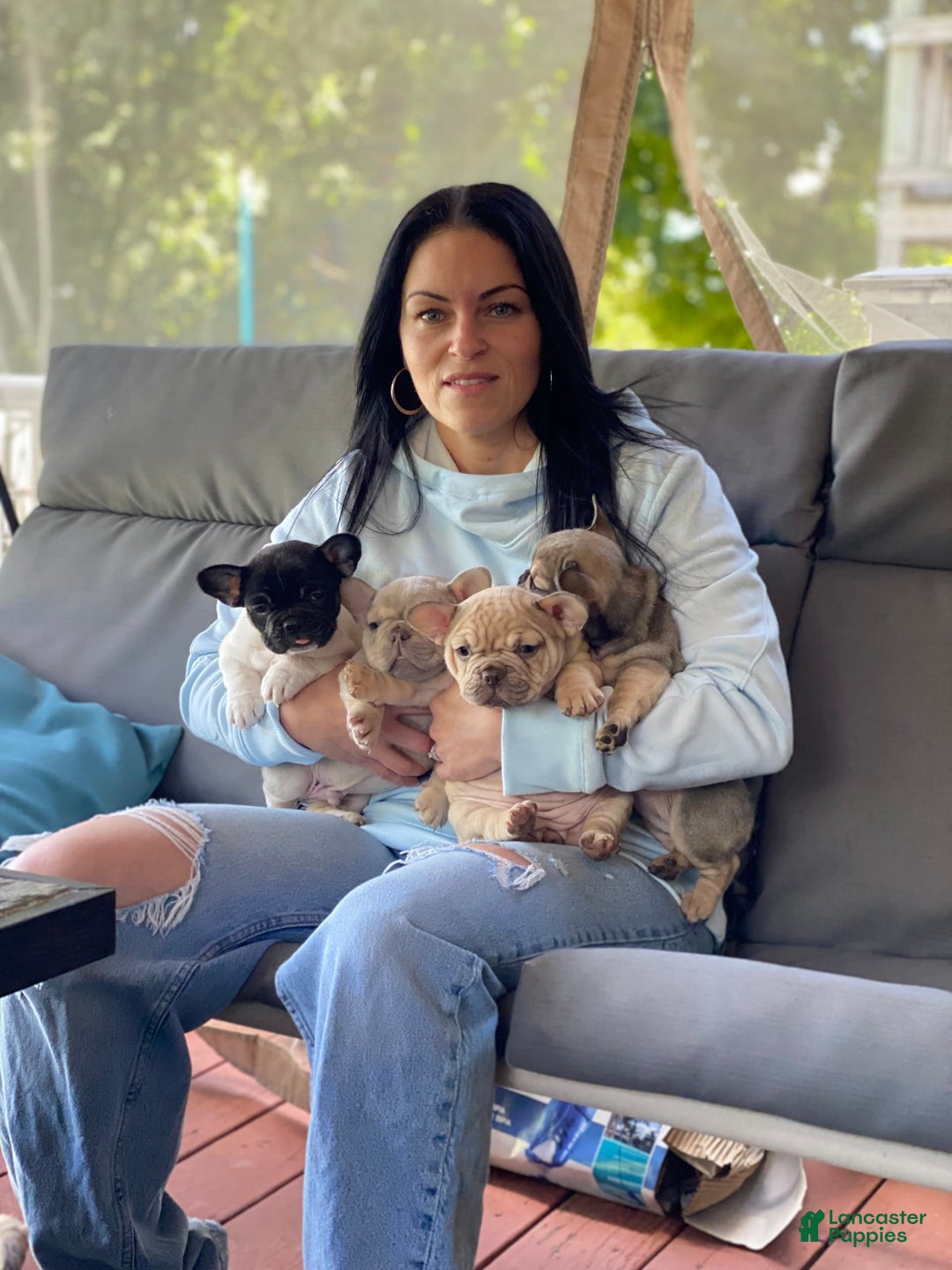 Gallery Image {{count}}