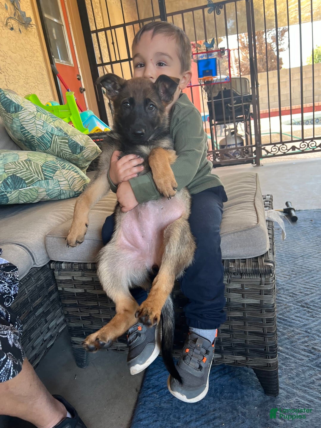 Gallery Image {{count}}