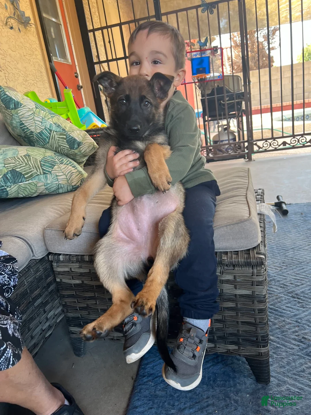 Gallery Image {{count}}