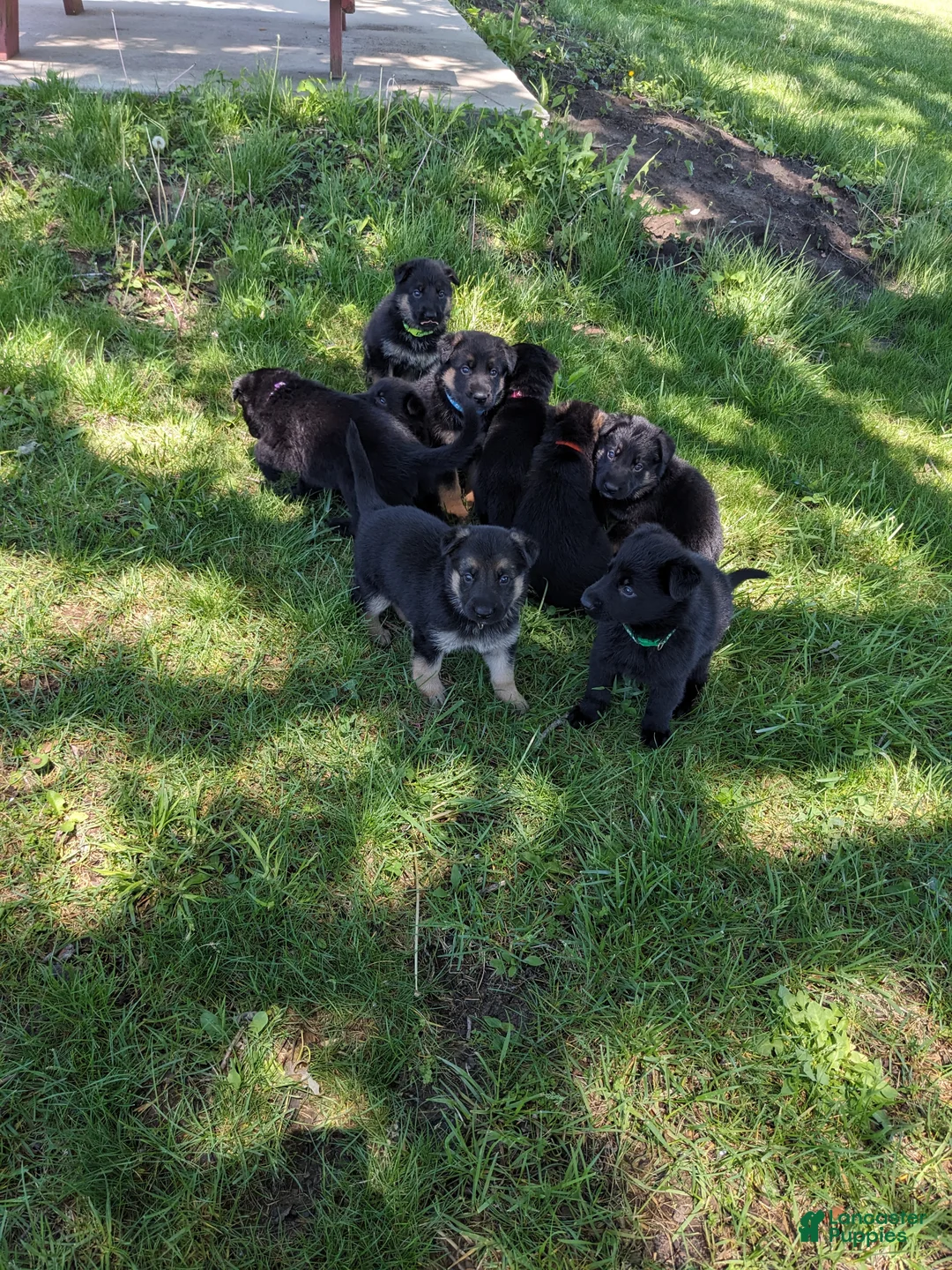 Gallery Image {{count}}