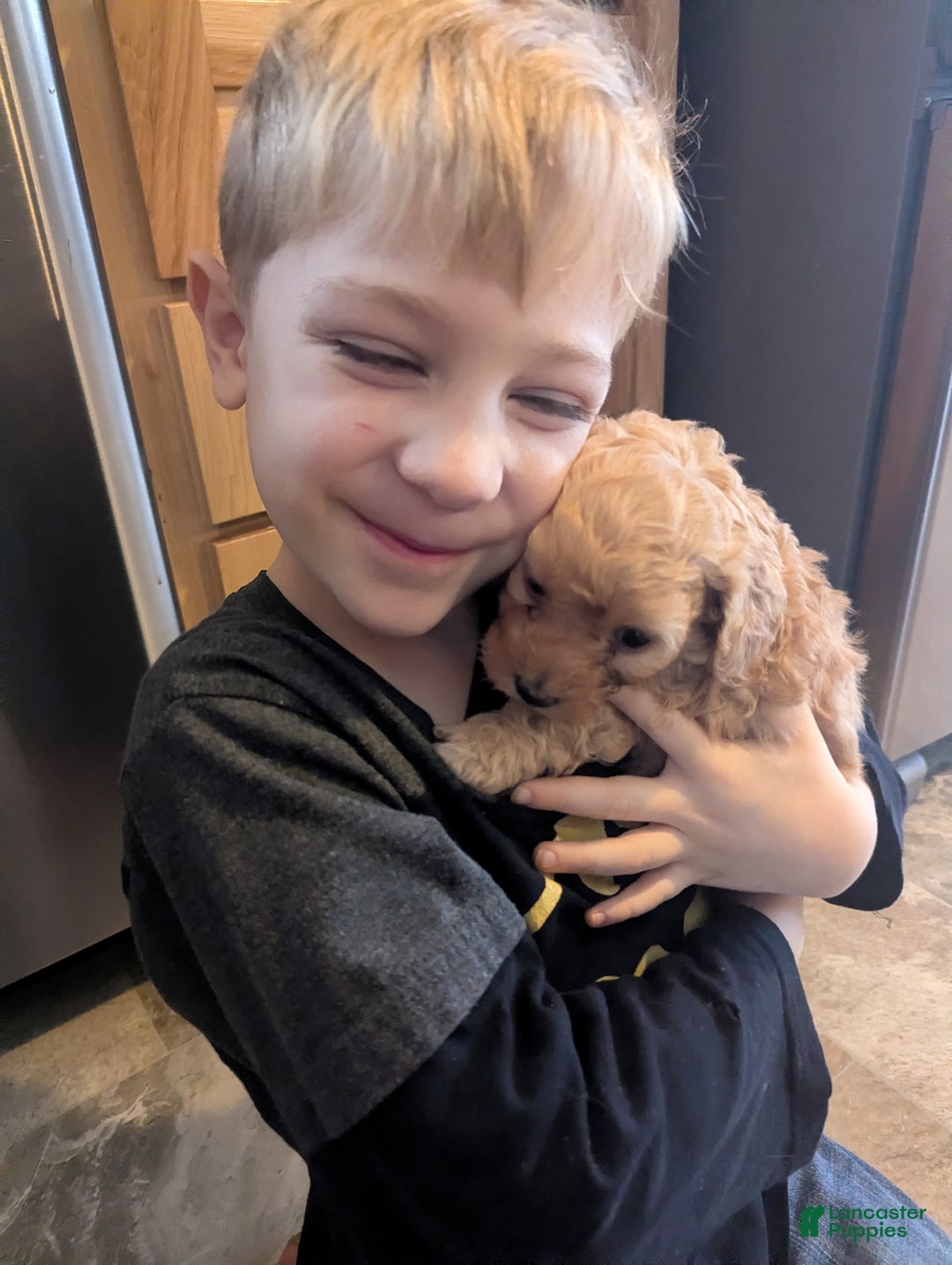 Mixed Breed dogs for sale: Luna  - Ad 11