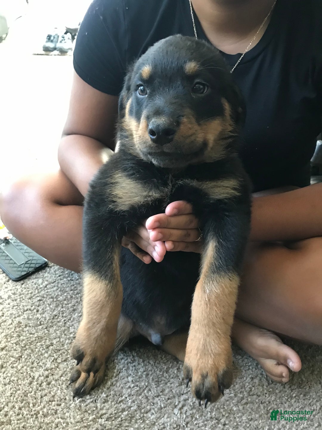 Gallery Image {{count}}