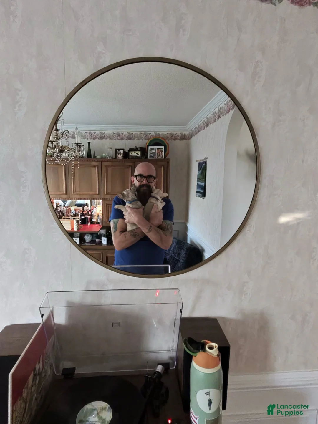 Gallery Image {{count}}