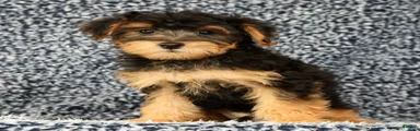 Zip