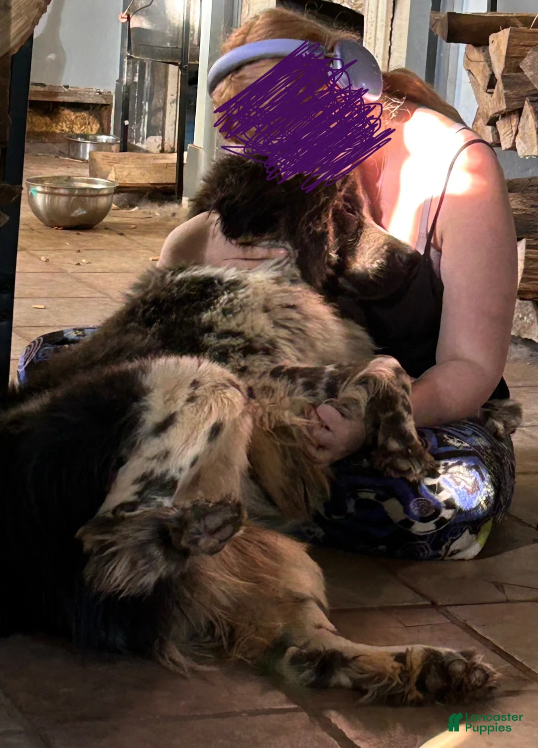 Gallery Image {{count}}