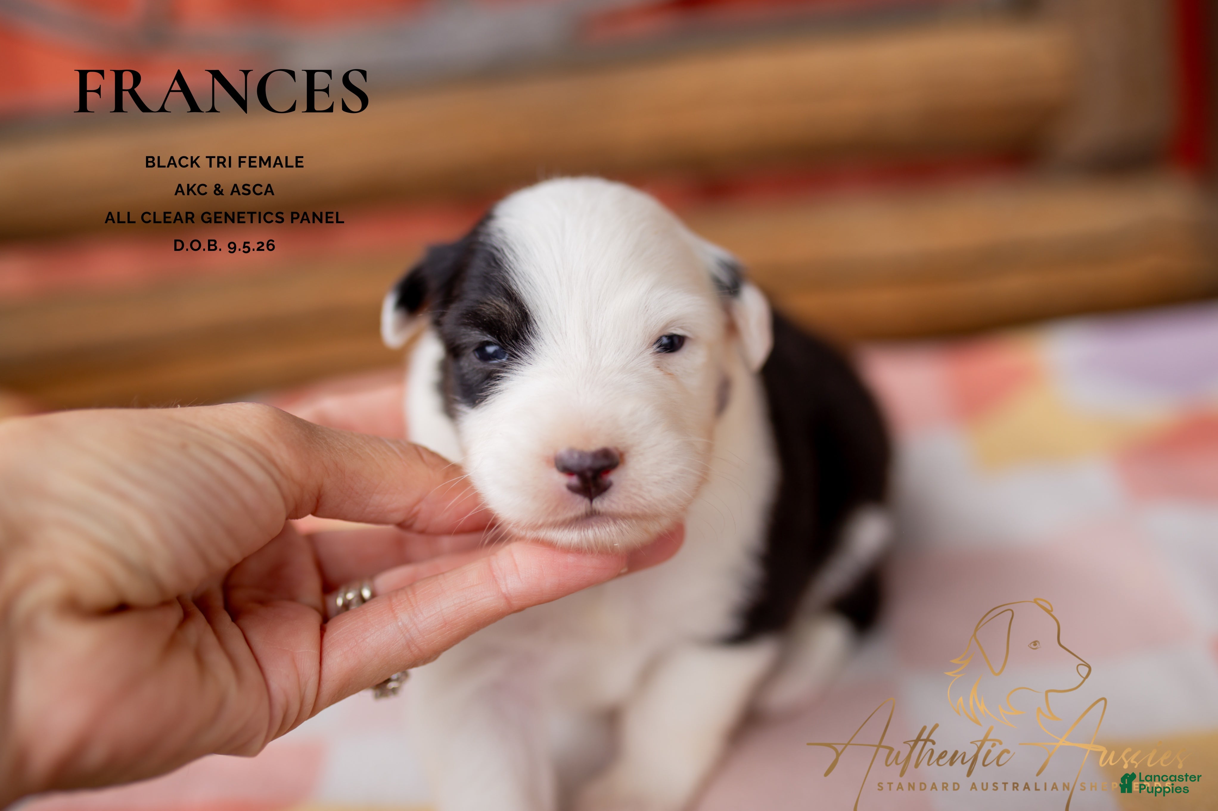 Frances