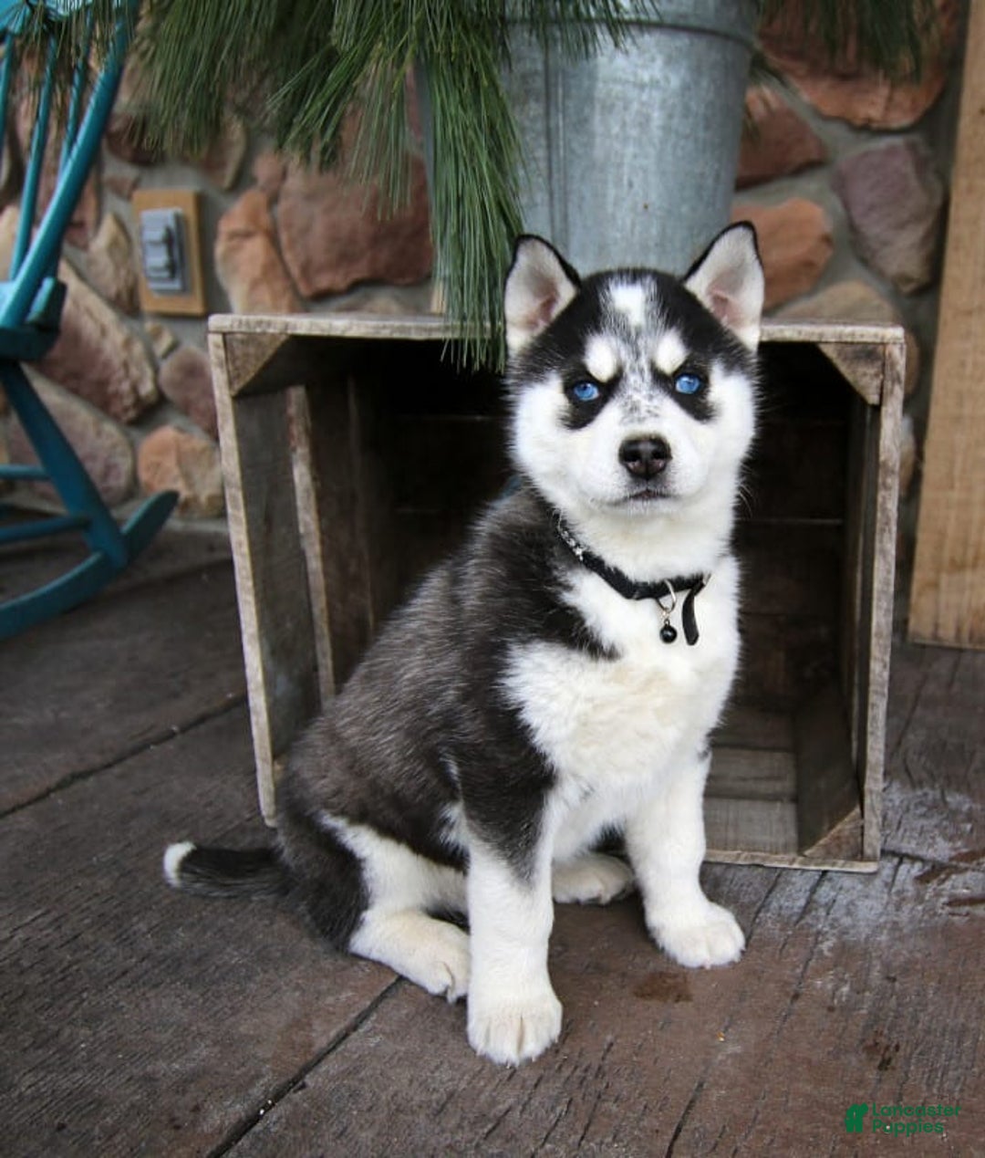 Gallery Image {{count}}