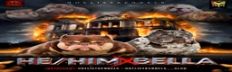 Mixed Breed dogs for sale:  Exotic bullies  - Ad 2