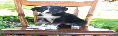 Lilah