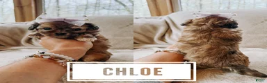 Chloe