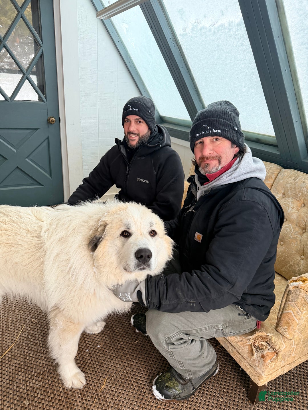 Gallery Image {{count}}