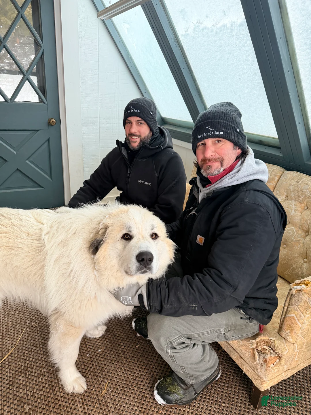 Gallery Image {{count}}