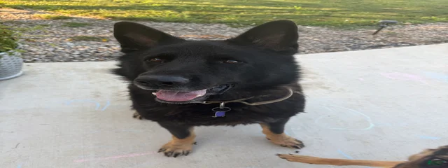 Jax