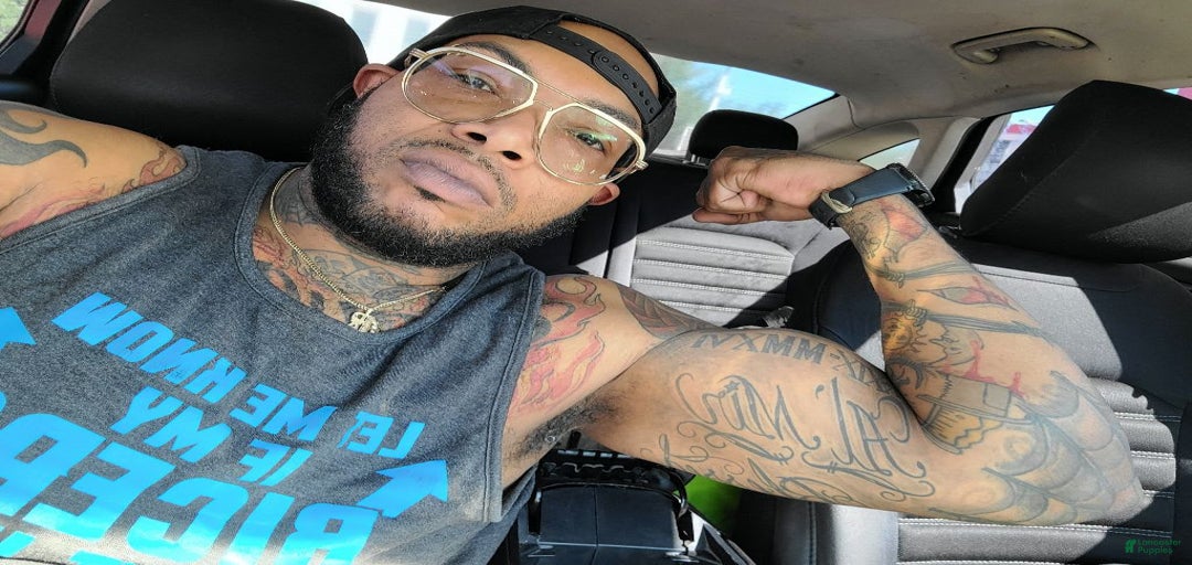 Gallery Image {{count}}