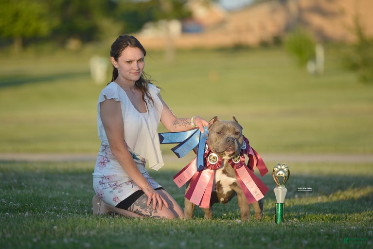 Gallery Image {{count}}