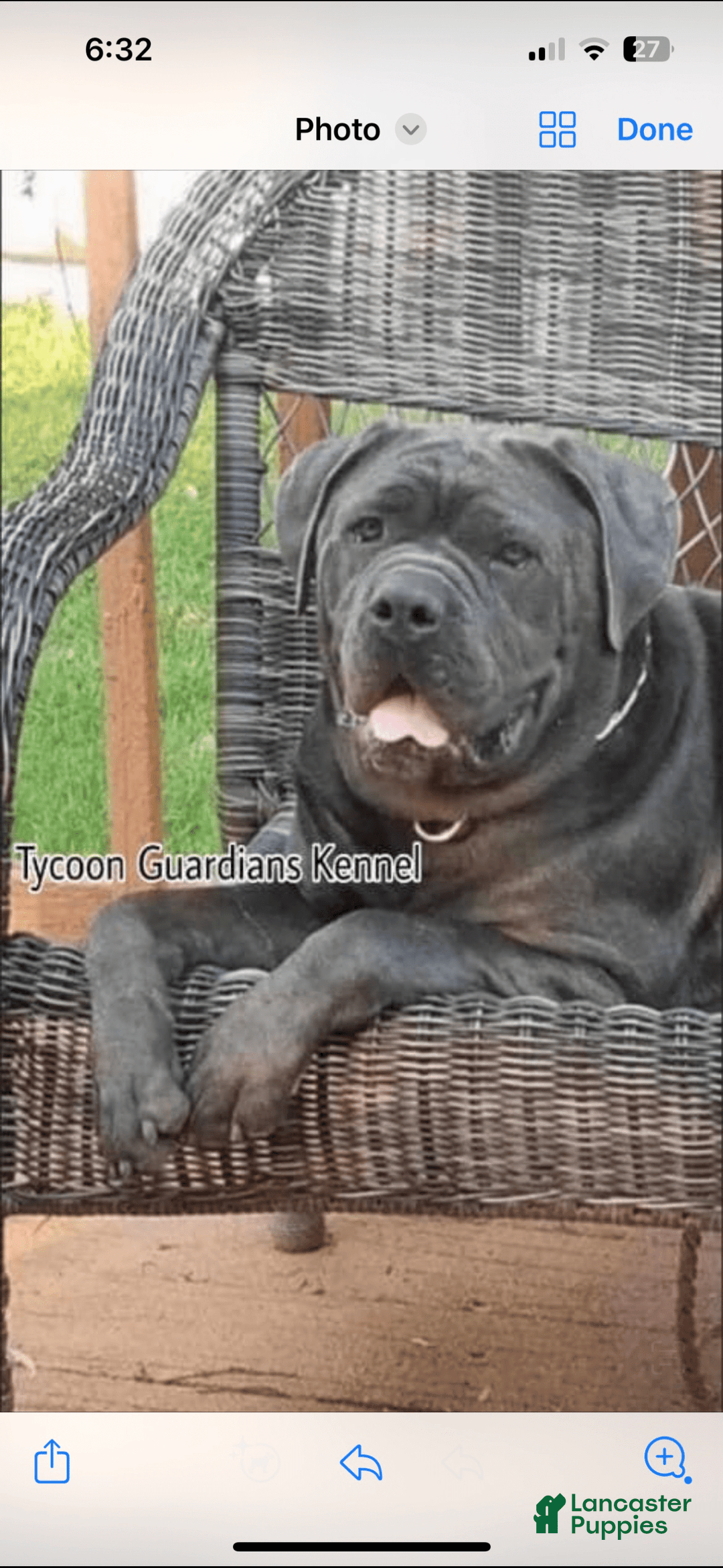 Gallery Image {{count}}