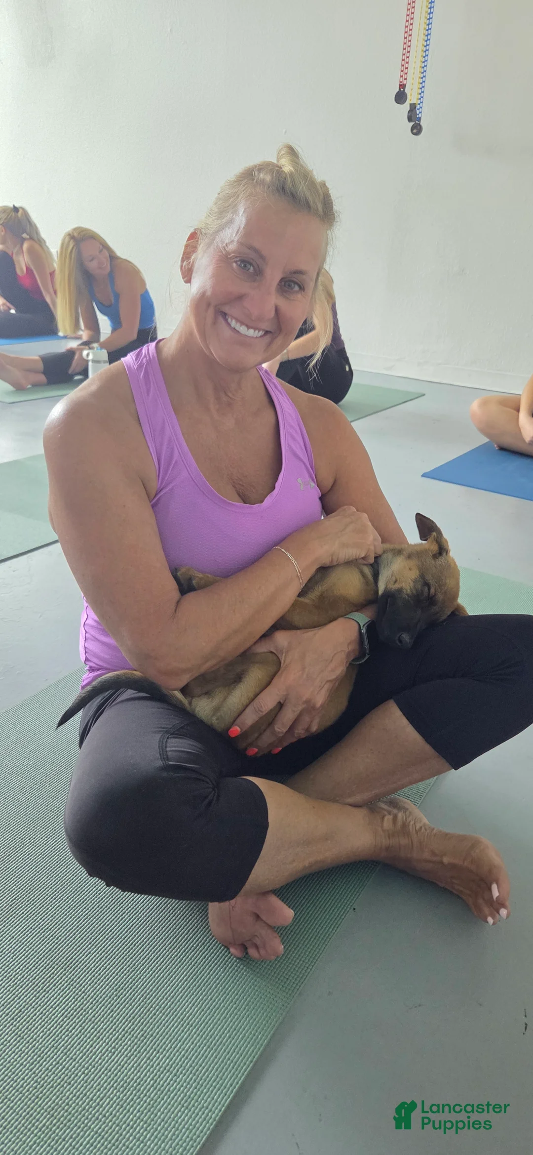 Mixed Breed dogs for sale: Doberdane Blk/Rst F - Ad 15