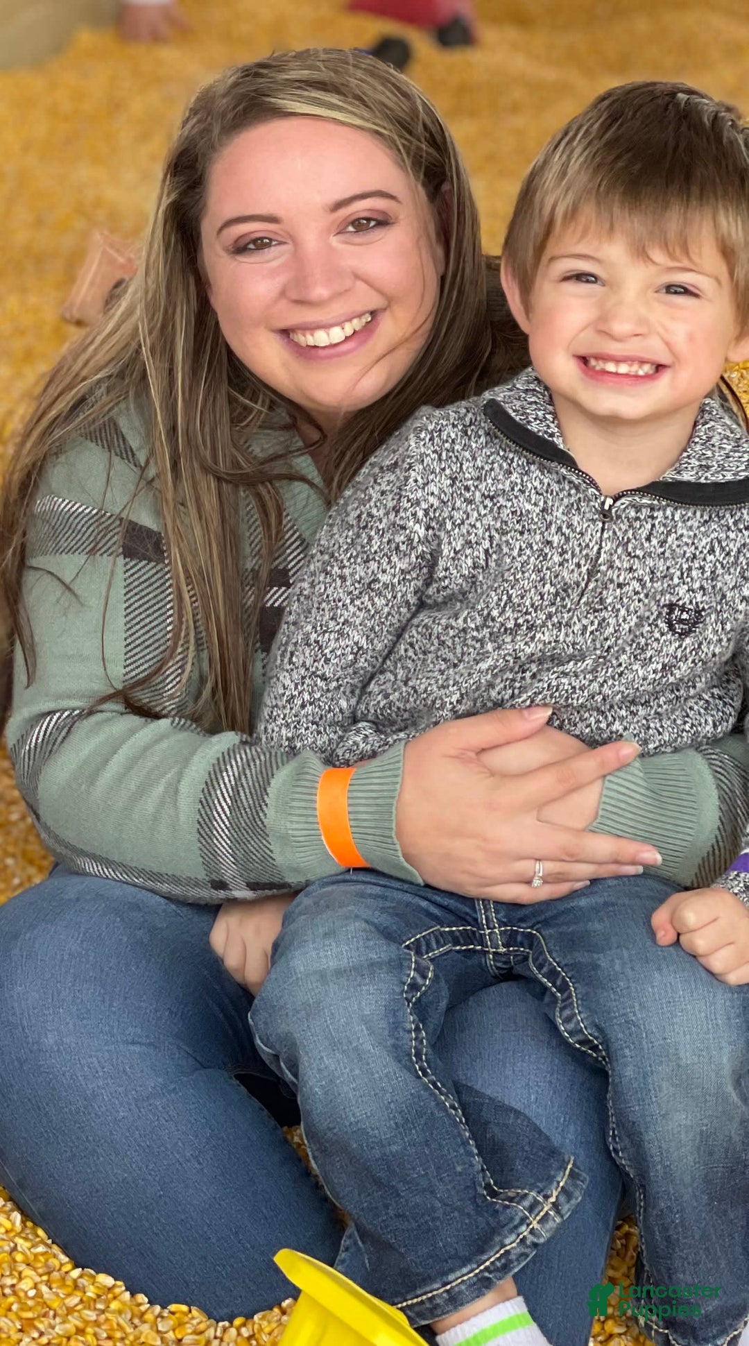 Gallery Image {{count}}