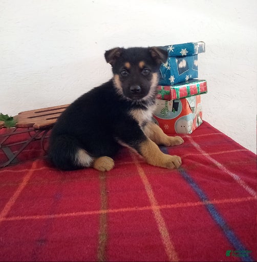 Gallery Image {{count}}