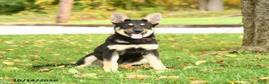 Maddy