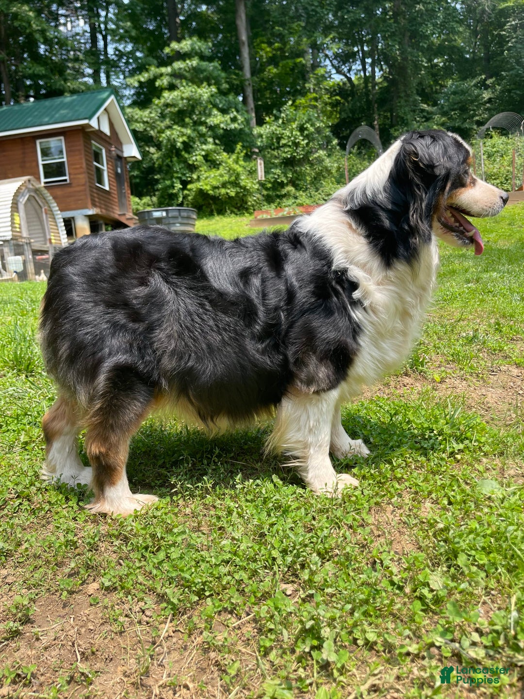 Gallery Image {{count}}