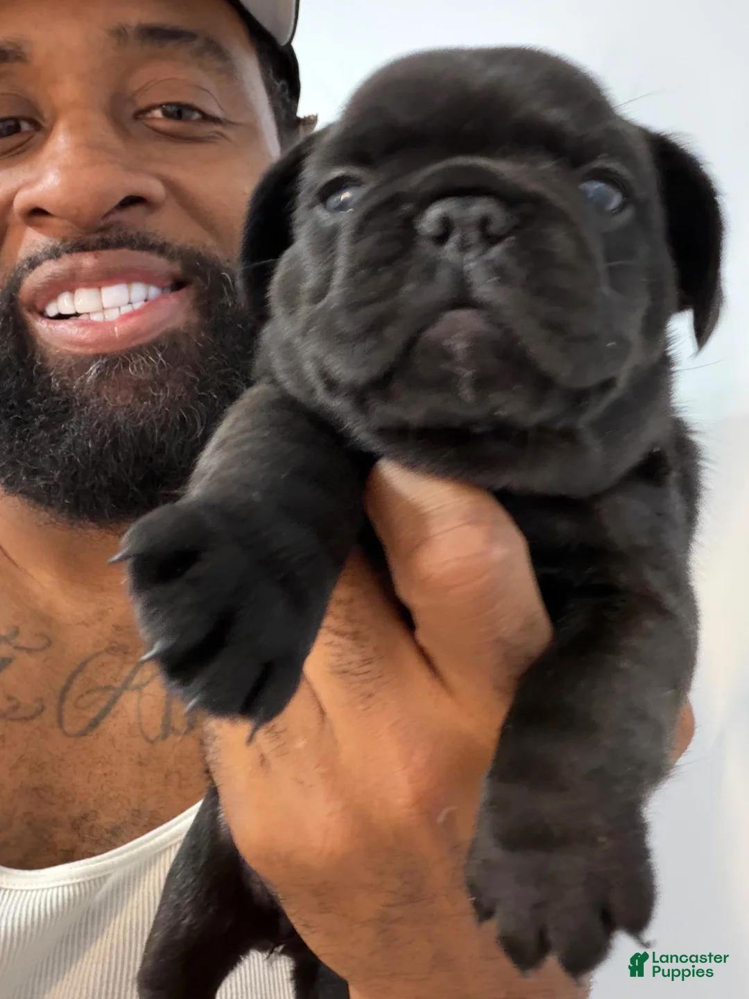 Gallery Image {{count}}