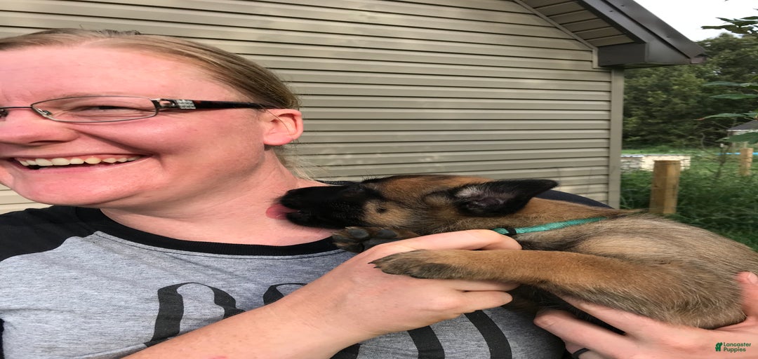 Gallery Image {{count}}