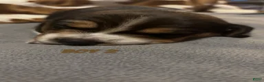 Beagle 2