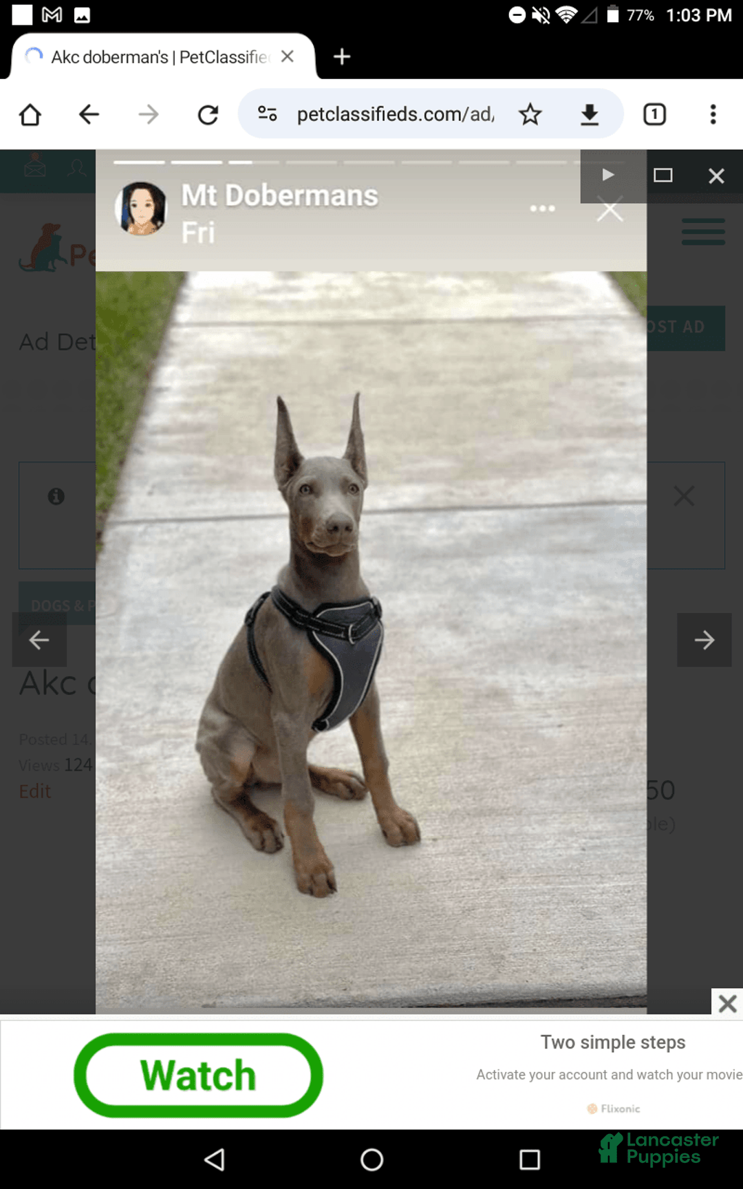 Gallery Image {{count}}