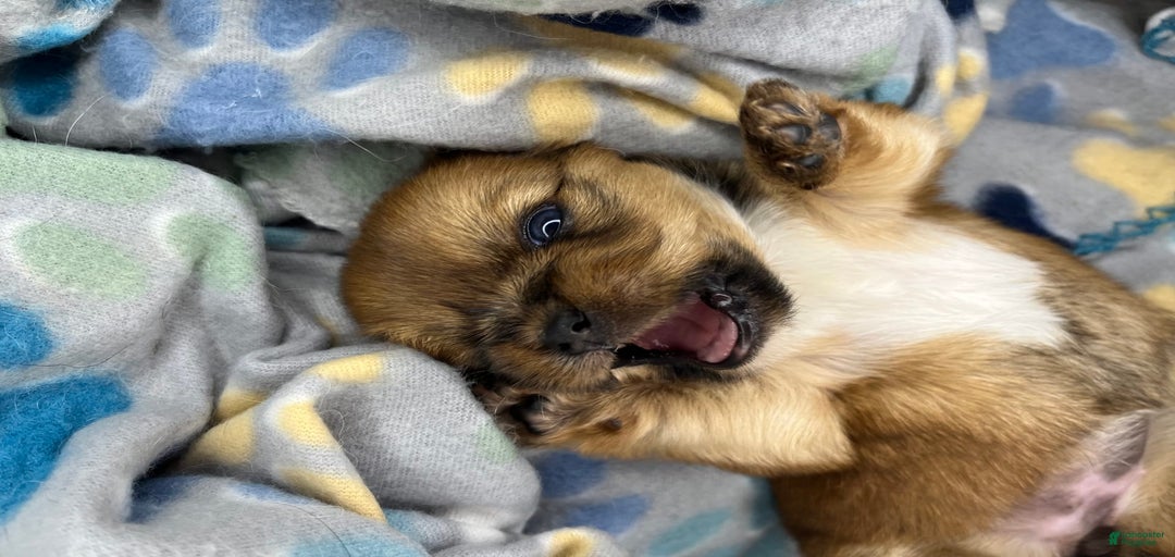 Gallery Image {{count}}