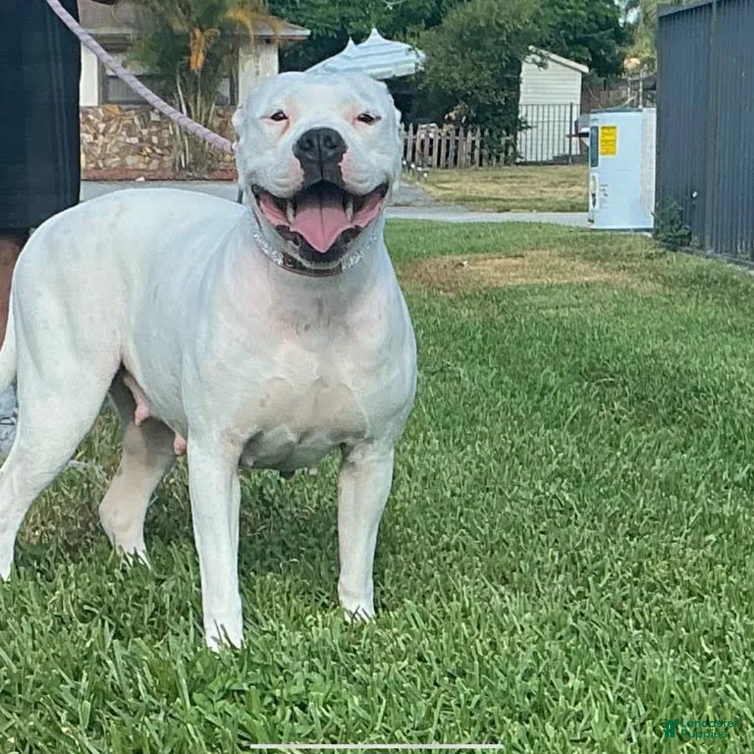 Gallery Image {{count}}