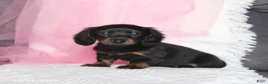 Tina 