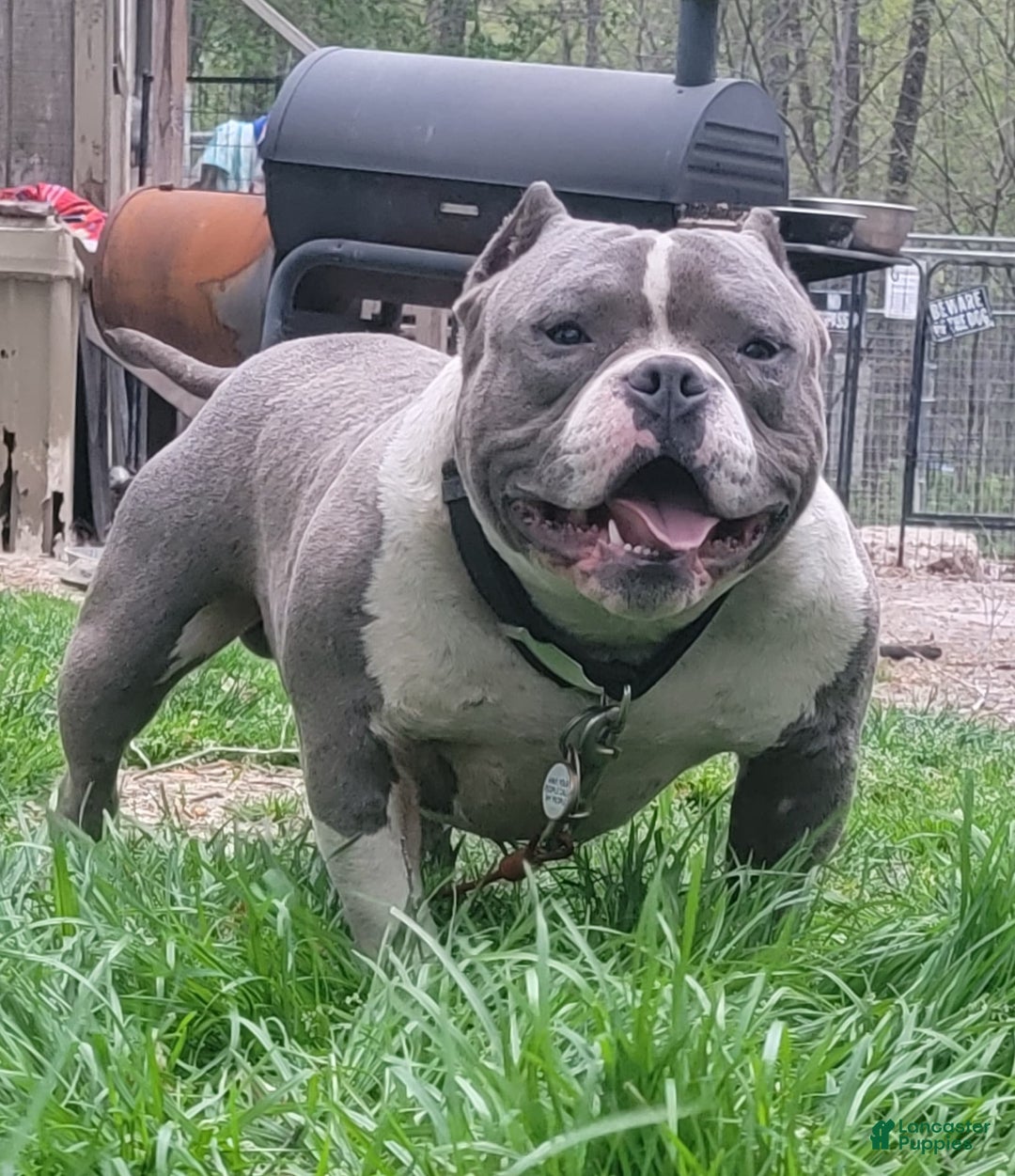 Gallery Image {{count}}