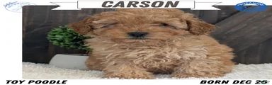 Carson