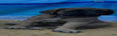 Bay