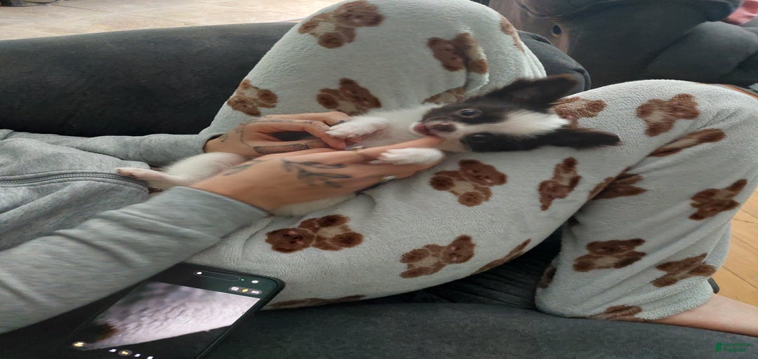 Gallery Image {{count}}