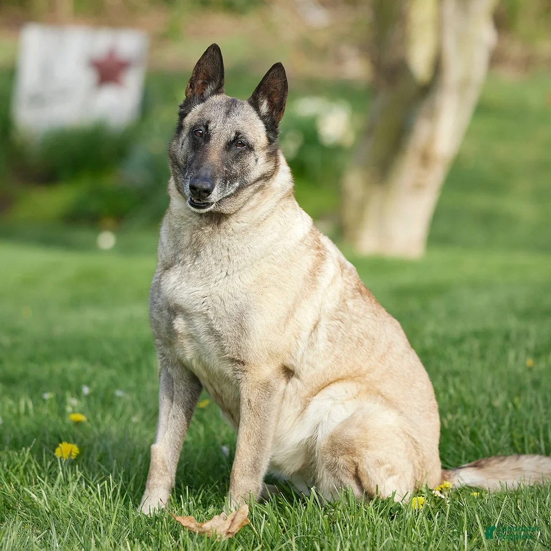 Gallery Image {{count}}