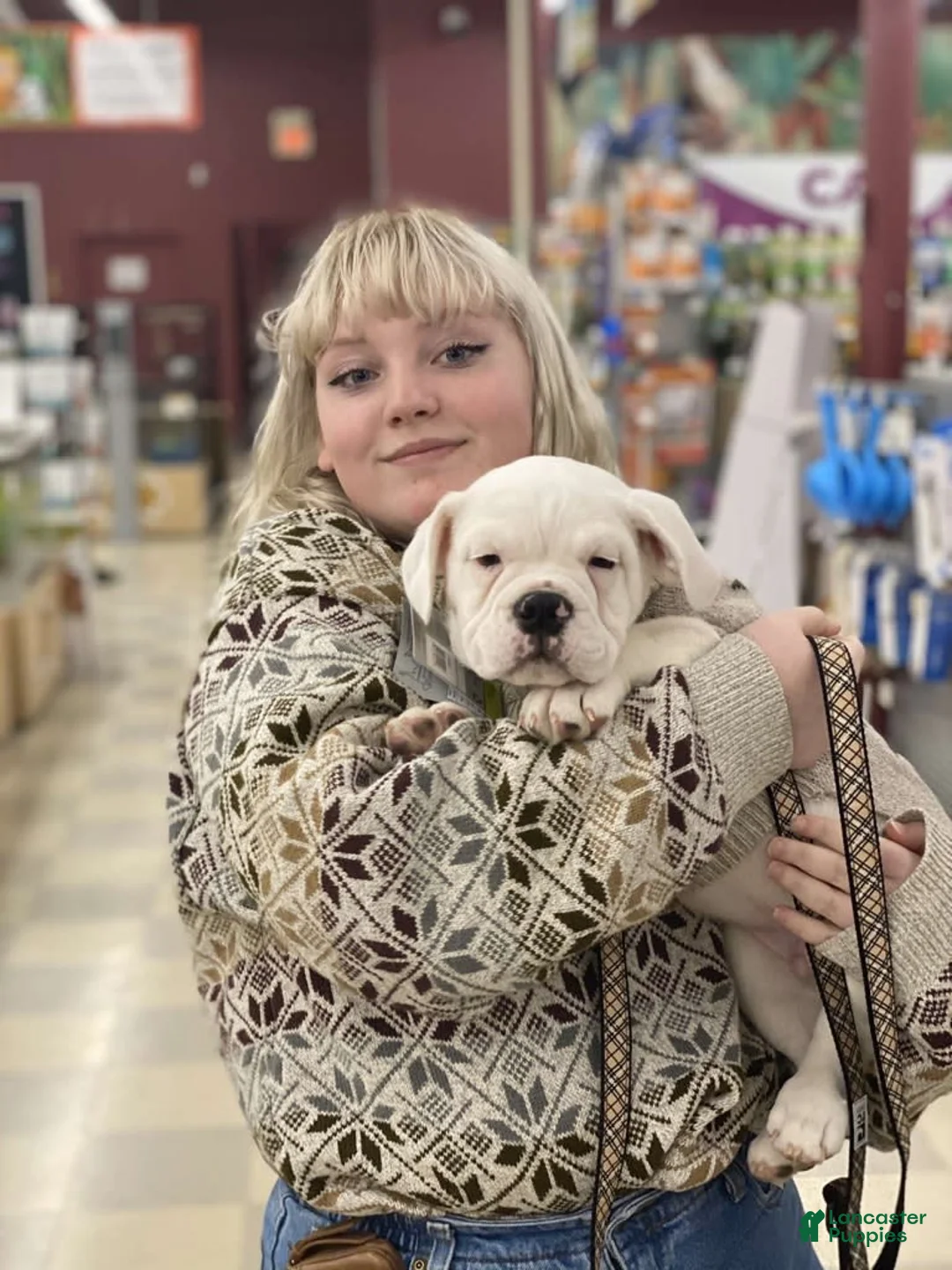 Gallery Image {{count}}