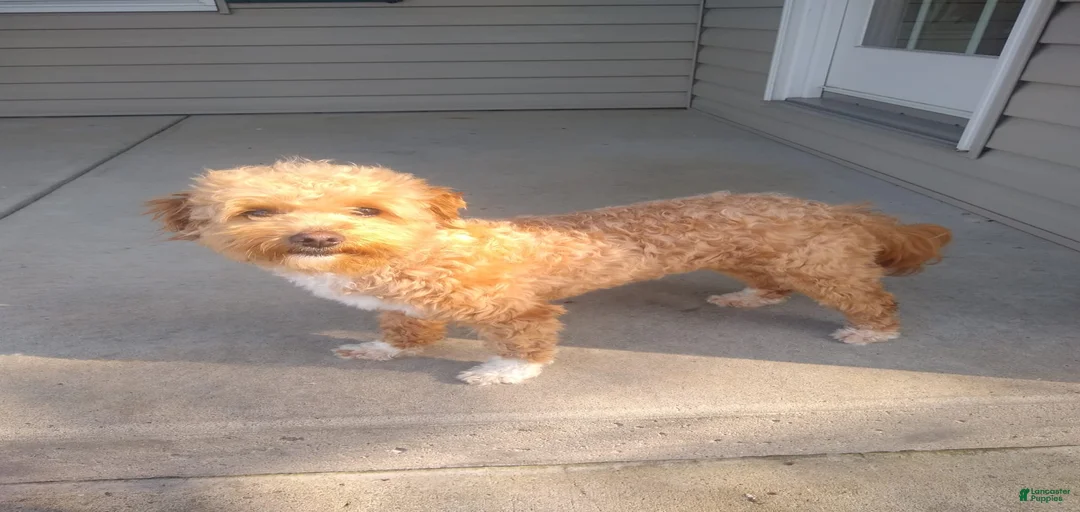 Gallery Image {{count}}