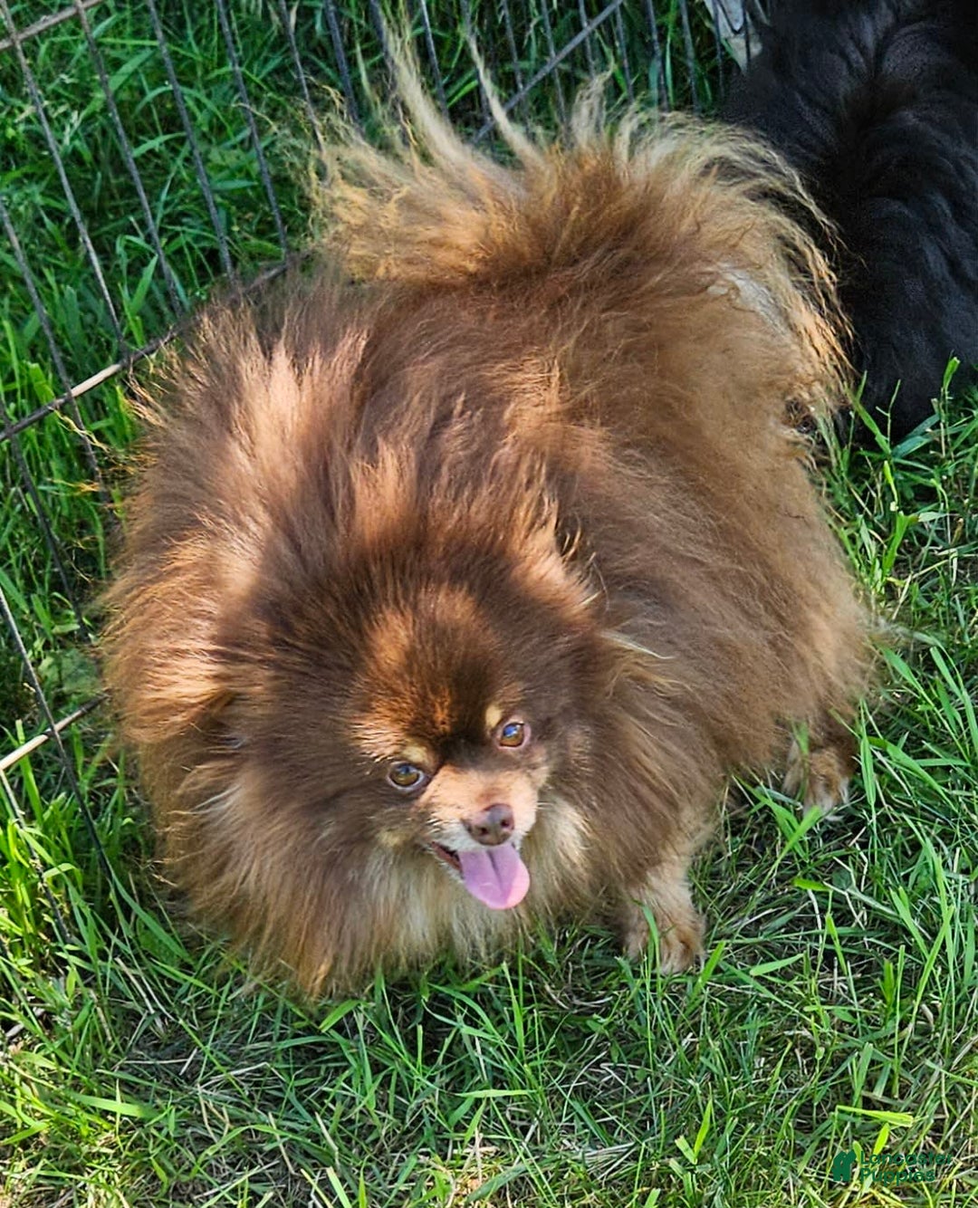 Gallery Image {{count}}