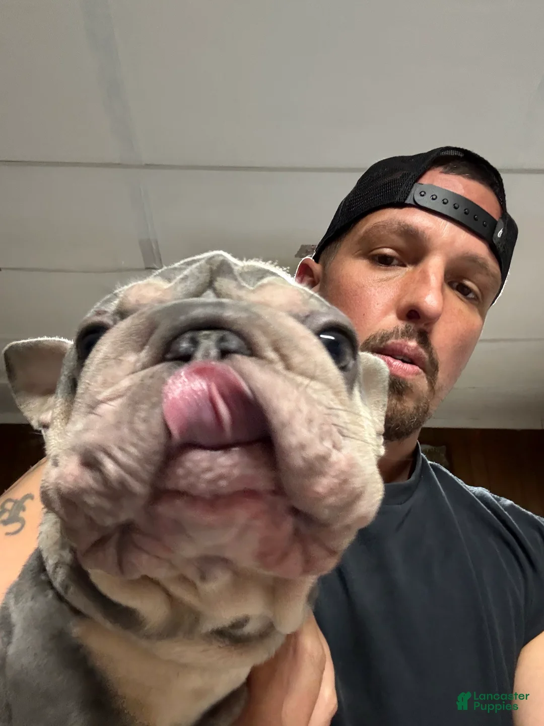 Gallery Image {{count}}