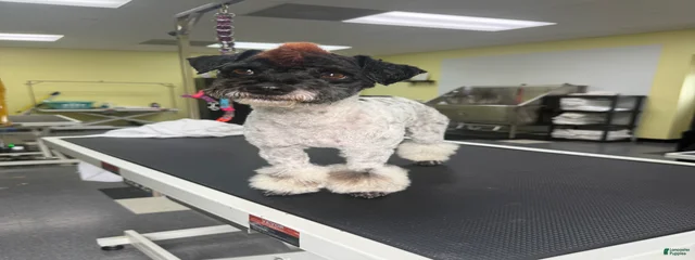 Otis