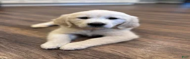 Boy 2