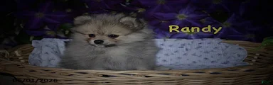 Randy