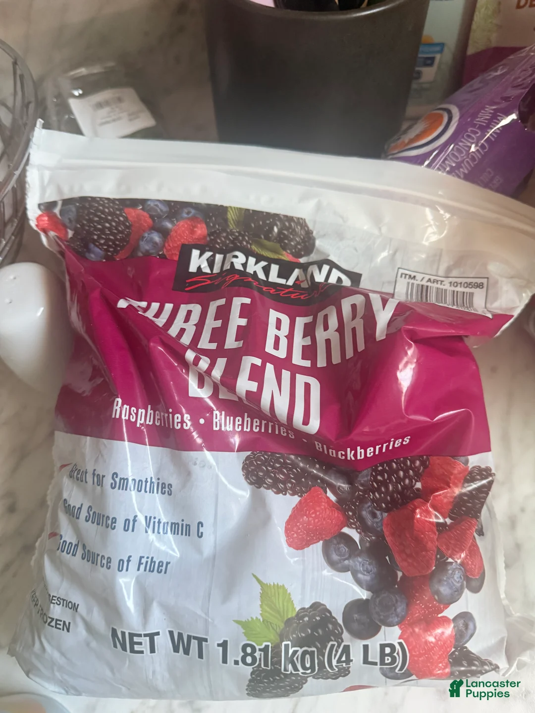 Great Dane dogs for sale: Willow - Ad 6