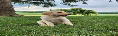Maggie 