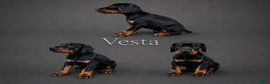 Vesta