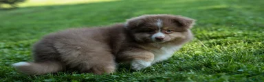LUCKY [ new pictures]