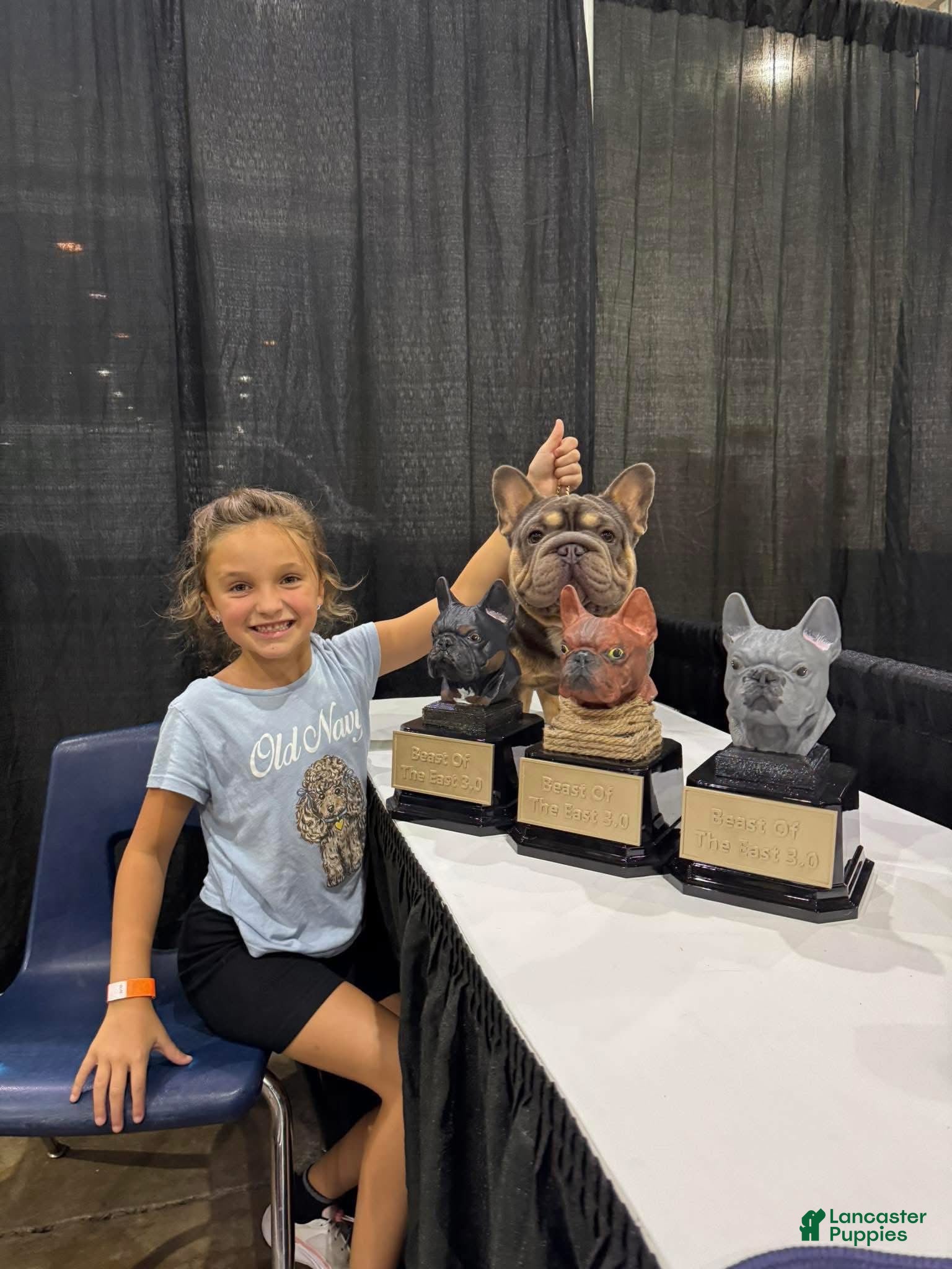 French Bulldog dogs Mr. Steal Yo Girl “Tinder” Blue  - Ad 2