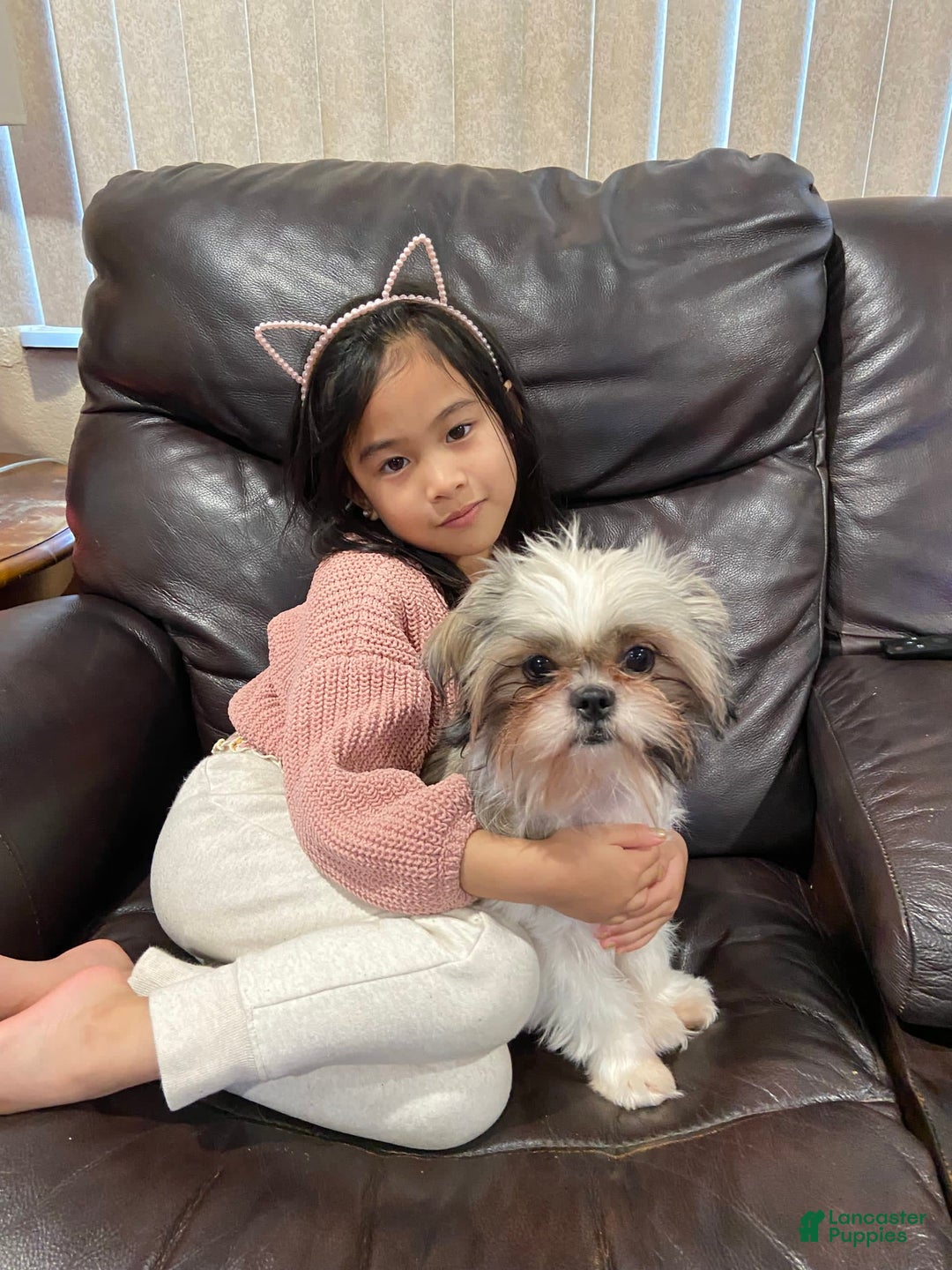 Gallery Image {{count}}